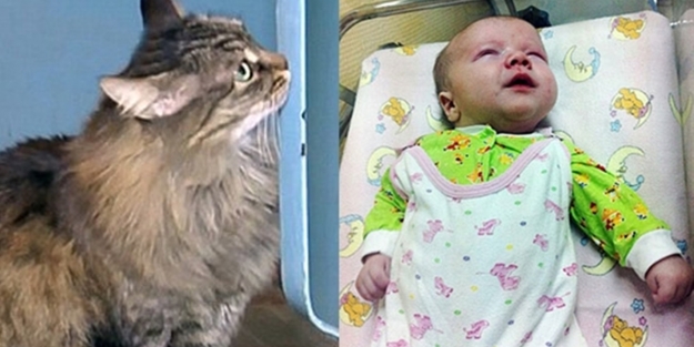 Sokağa atılan bebeği donmaktan kedi kurtardı