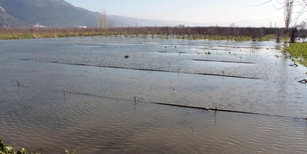 Bursa Ovası sular altında kaldı