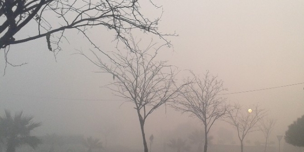 Manisa’da Yoğun Sis Etkili Oldu