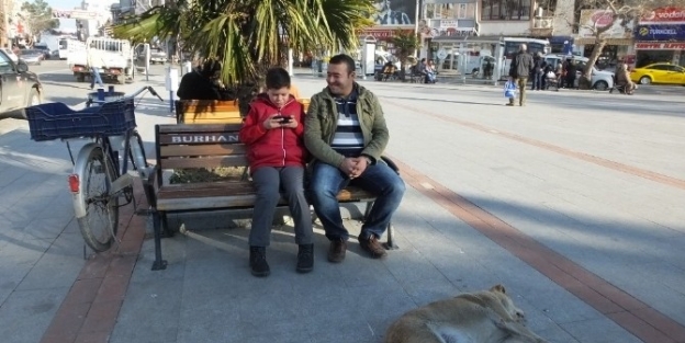 Bahar Havası Burhaniyelilerin Yüzünü Güldürdü