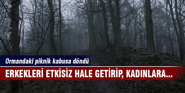 Erkekleri etkisiz hale getirip kadınlara tecavüz ettiler