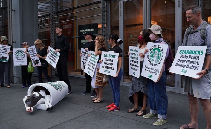 New York'ta, Starbucks karşıtı protesto