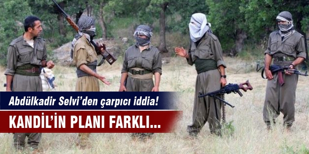 Cizre çözüm sürecine kurulan bir tuzak