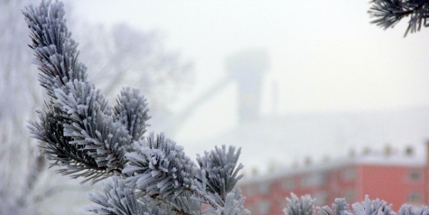 Erzurum’da Düşen Kırağı