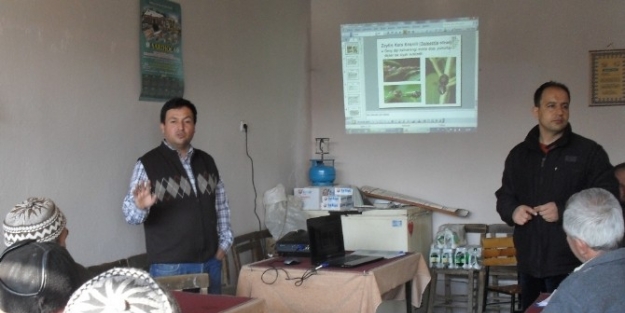 Somalı Zeytin Üreticileri Uyarıldı