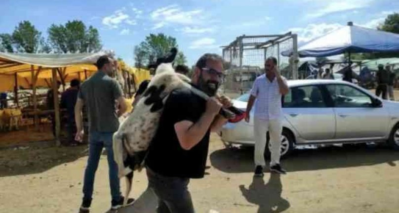 Bursa'da kurbanlık koyunu çocuğu gibi sırtında taşıdı