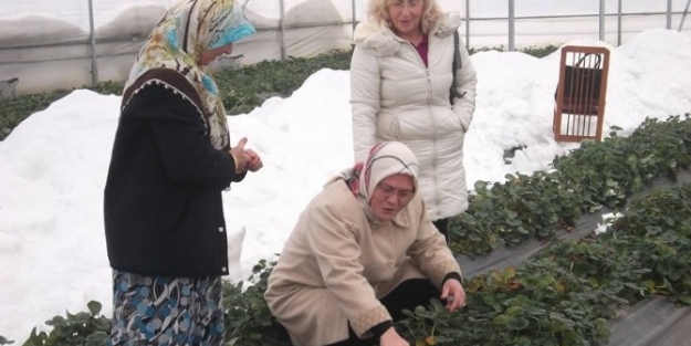 Kadın Çiftçilere Destek Projesi