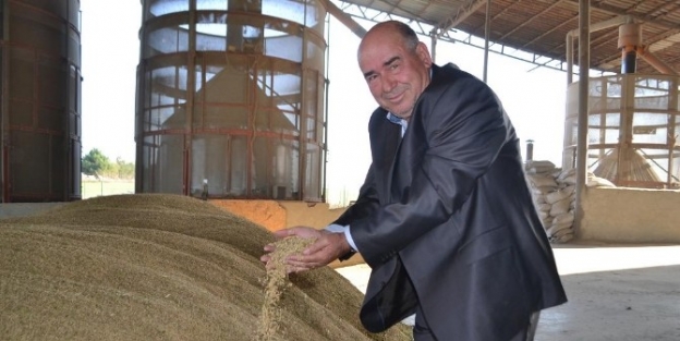 Başbakanın Pirinçte Kdv Müjdesi Üreticiyi Sevindirdi