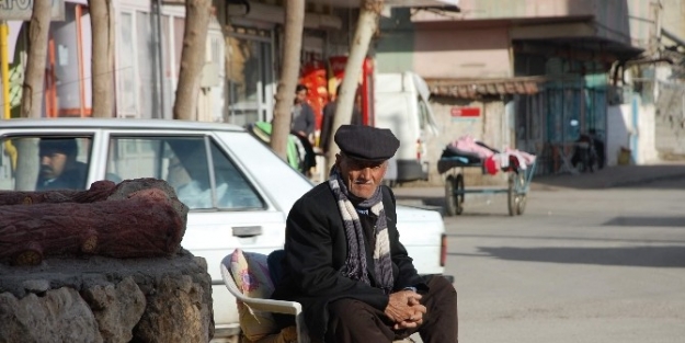 Yaşlı Adam Kavşak Ortasında Güneşlendi