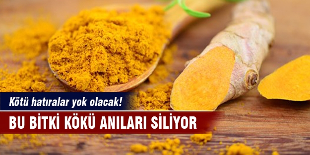 Kötü anıları silecek bitki