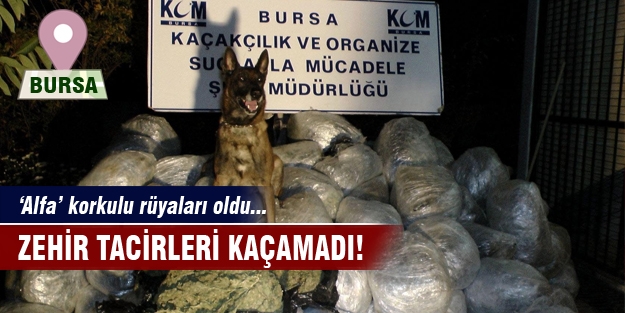 Zehir tacirleri kaçamadı!
