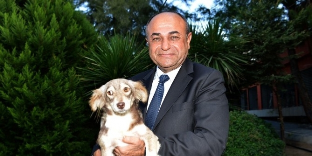 Çiğli’de Sokak Hayvanları Unutulmadı