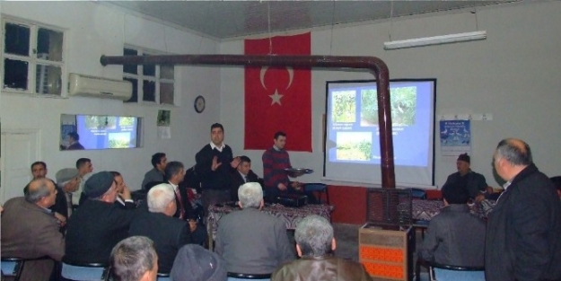 Kızıklı Da Çiftçilere Domates Mildiyusu Anlatıldı