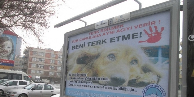Büyükşehir Belediyesi Reklam Görselleri İle Sokak Hayvanlarının Sahiplendirilmesini Ve Beslenmesini Amaçlıyor