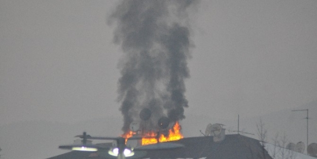 Suriyeli Çocuklarin Korku Dolu Anları