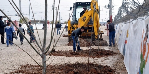 Çadir Kent Yeşillendiriliyor