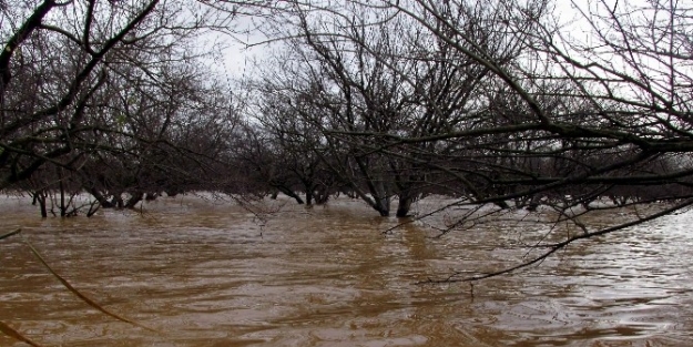 Aydın’da Yağışın Neden Olduğu Zarar Meclis Gündemine Taşıdı