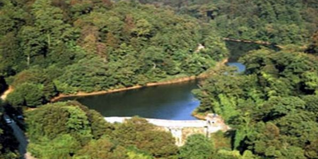 Şehir ormanına isim aranıyor