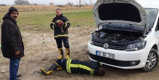 Aracın Motor Kısmına Sıkışan Köpeği İtfaiye Kurtardı