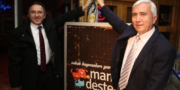 Mama Desteği Konseri'ne büyük ilgi