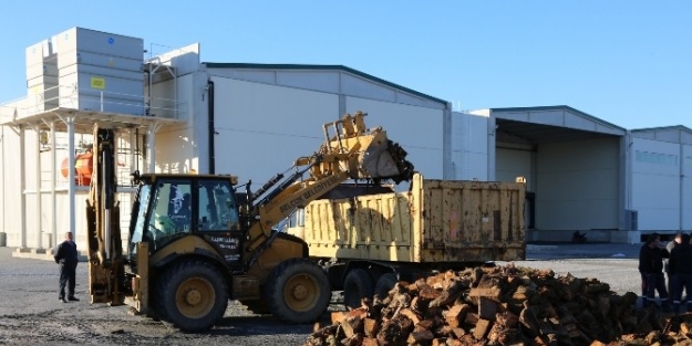 Selçuk’ta Bin 300 İhtiyaç Sahibine Yakacak Yardımı