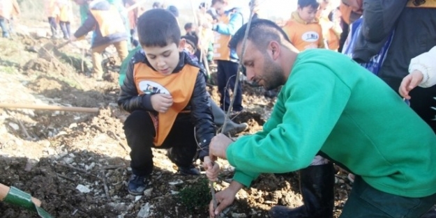 Büyükşehir İle Tema’dan Kandıra’ya 200 Fidan