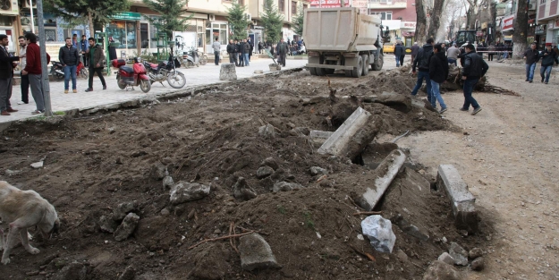 İznik Gölü baştan sona temizlenecek