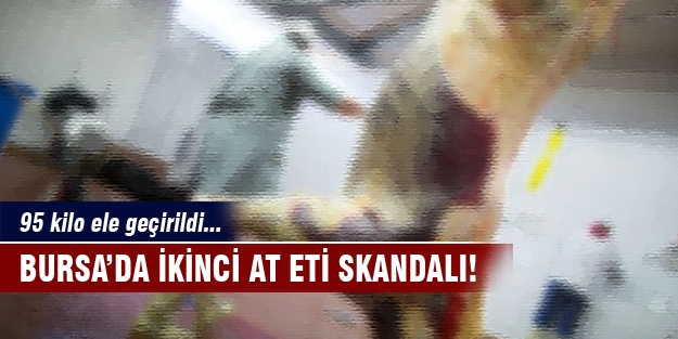 Bursa'da ikinci at eti operasyonu!