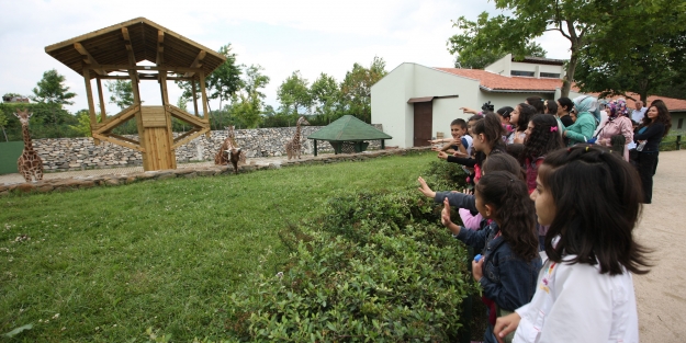 Bursalı çocuklara karne hediyesi Zoopark