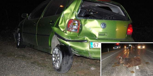 Sahipsiz bir büyükbaş hayvan zincirleme kazaya neden oldu