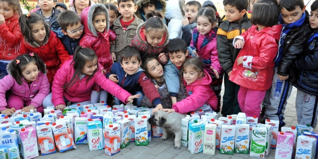 Miniklerden büyük yardım