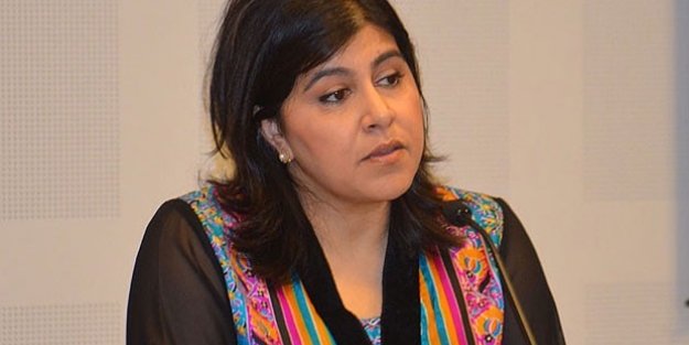 Eski bakandan hükümete eleştiri