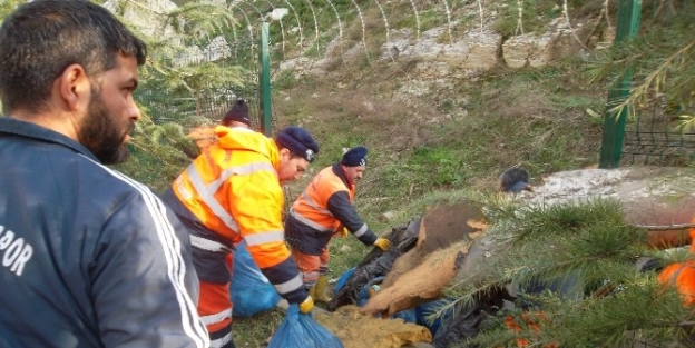 İzmit Belediyesi’nden Çevre Temizliği