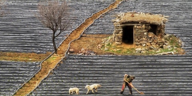 Fotoğraf Sanatçısı Konyalı’dan Bir Başarı Daha