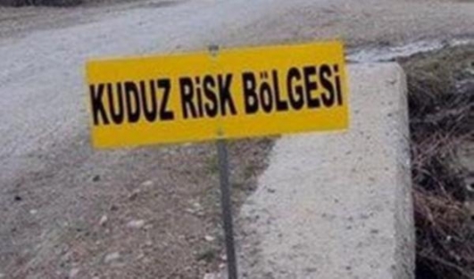 Çanakkale'de uyuz alarmı