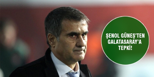 Şenol Güneş Hamzaoğlu'na sert çıktı!