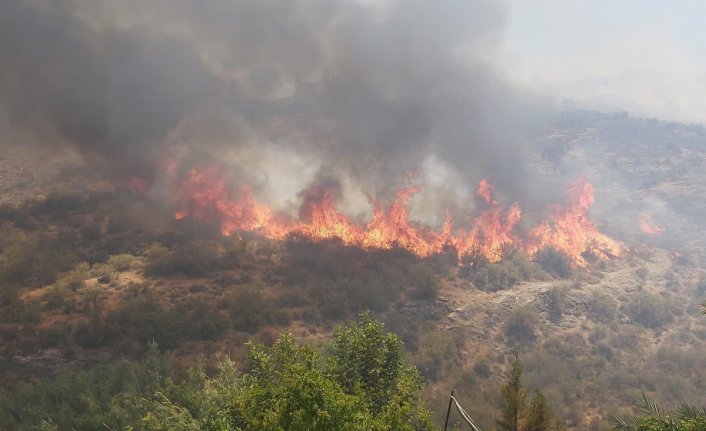 KKTC'deki yangını sağanak yağış söndürdü