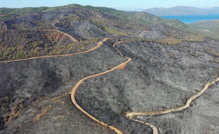 Marmaris'teki orman yangını büyük oranda kontrol altına alındı! Soğutma çalışmaları başladı