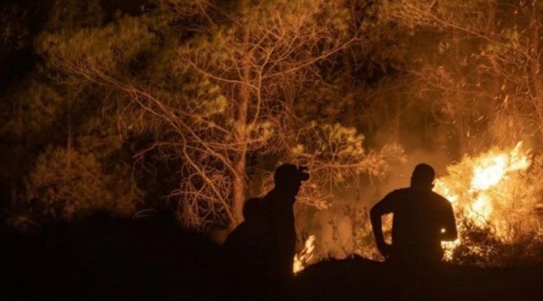 Marmaris'teki orman yangınını çıkaran kişi tutuklandı!