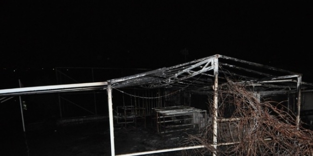 Bodrum’da Yangın Resroranı Kül Etti