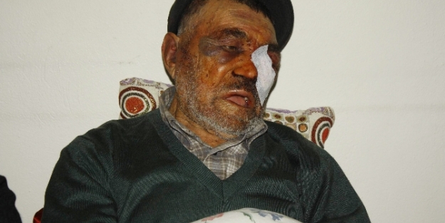 Vicdansızlığın bu kadarı!