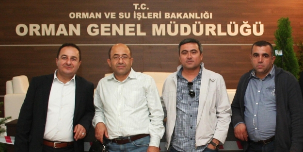 O genelge ahşap sektörünü vurdu