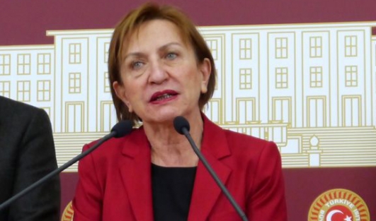 CHP'den AK Parti'ye destek