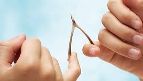 Diyanet'ten lades fetvası