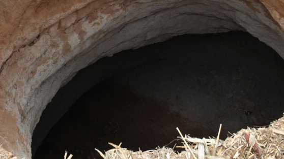 Vatandaşları korkutan görüntü