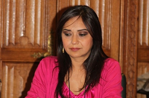 Amberin Zaman HDP'ye kızgın