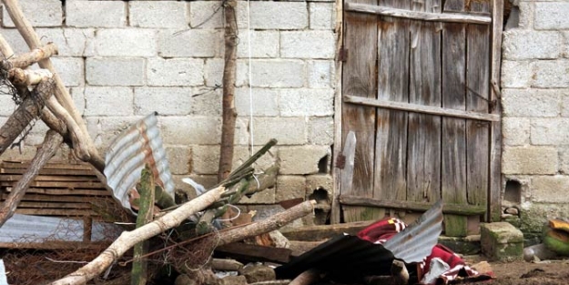 Samsun'da lodos faciası, 1 ölü