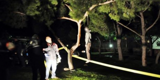 Kendini ağaca asmış halde buldular