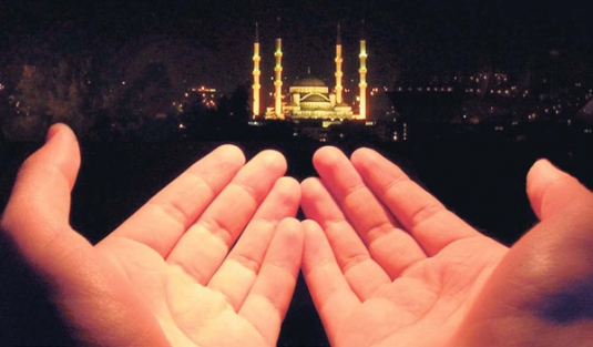 SMS yoluyla fitreye şikayet