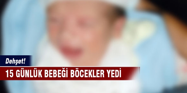 Yeni doğmuş bebeği böcekler yedi!
